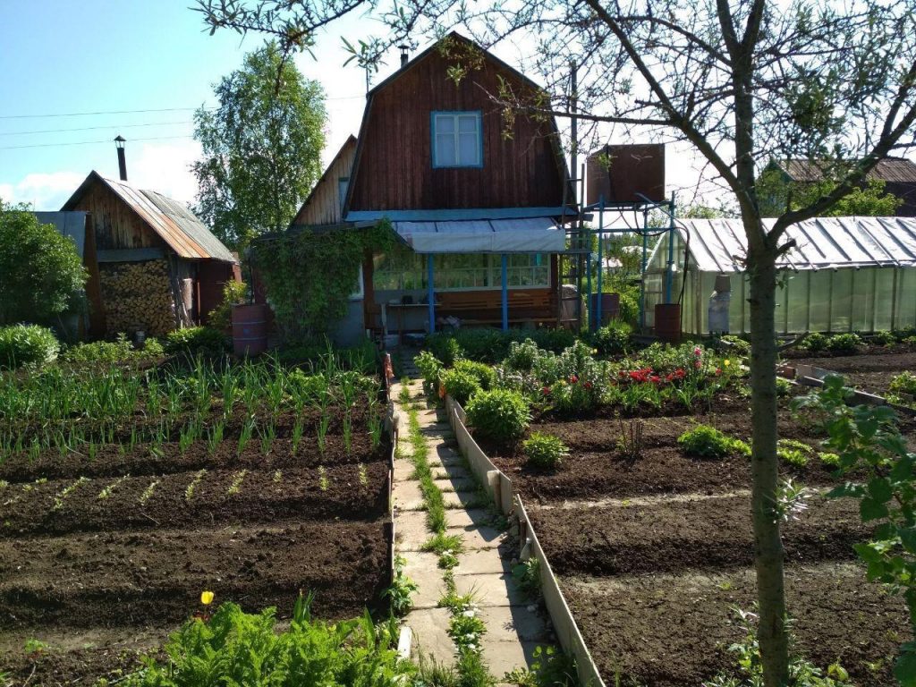 Купить Дачу Лпх В Пальники Пермь